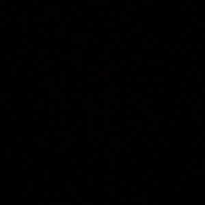 Meet your Posher, Larissa